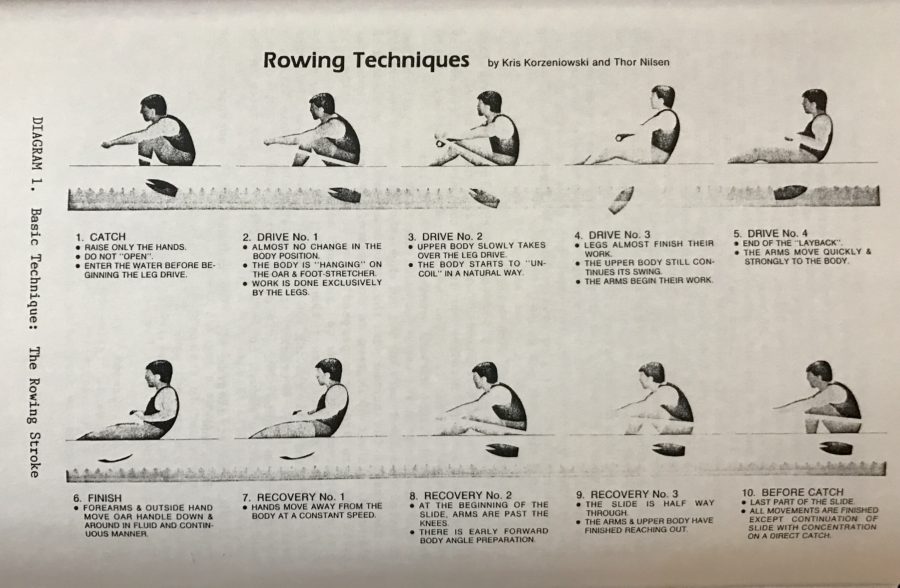 Rowing Techniques Diagram