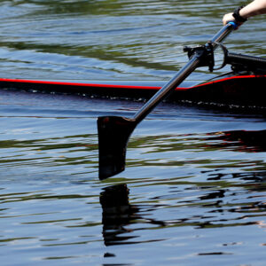 EA Sculls – 2016 Display Sculls