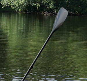 Paddle_370x398_0225