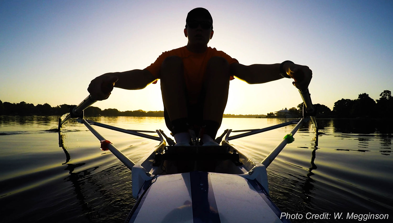 Sculling At Sunrise